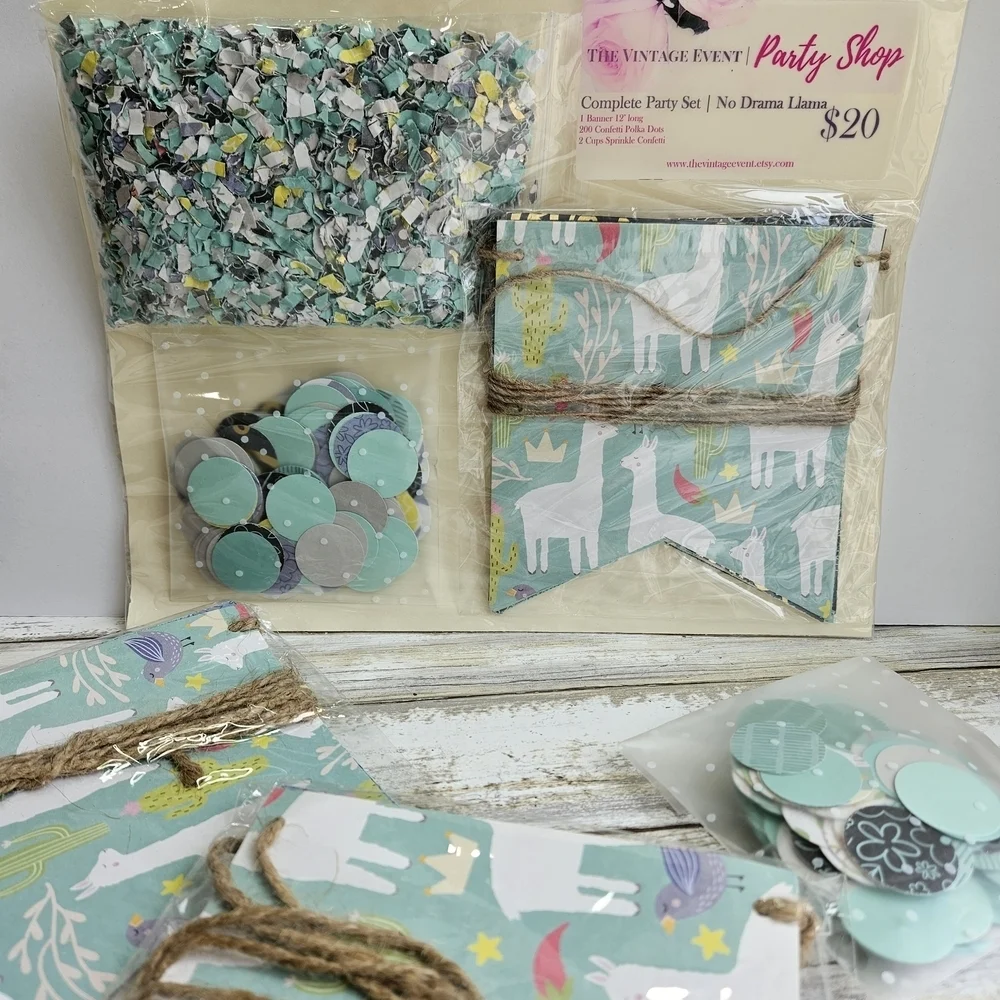 Mint Green and Grey LLAMA Party Decorations Set with Accents